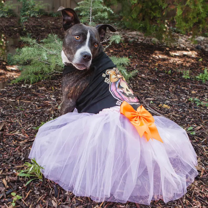 Halloween Dog Costume | Coquette Pumpkin